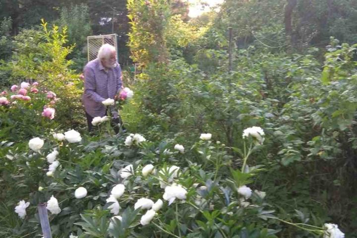 IMG_20200614_194713_Easy-Resize.com